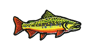 Brook Trout for Freshwater Fishing